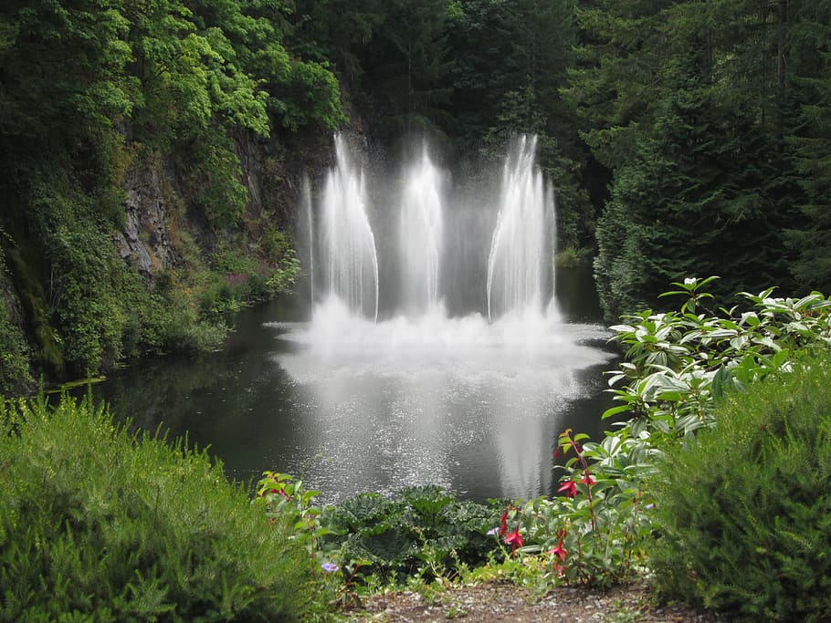 waterfalls, surrounded, trees, daytime, waterfall, butchart garden, victoria, canada, nature, park