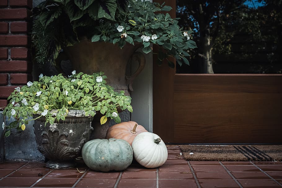 exterior, pumpkins, flowers, decoration, display, fall, porch, arrangement, doorstep, autumn