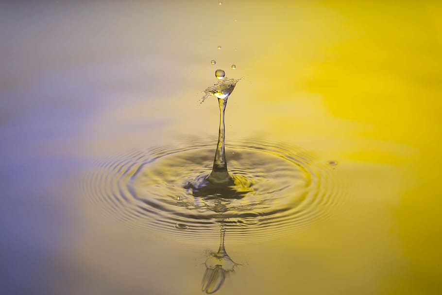 Free Download Selective Focus Photography Water Drop Drip Water Drop Of Water Water