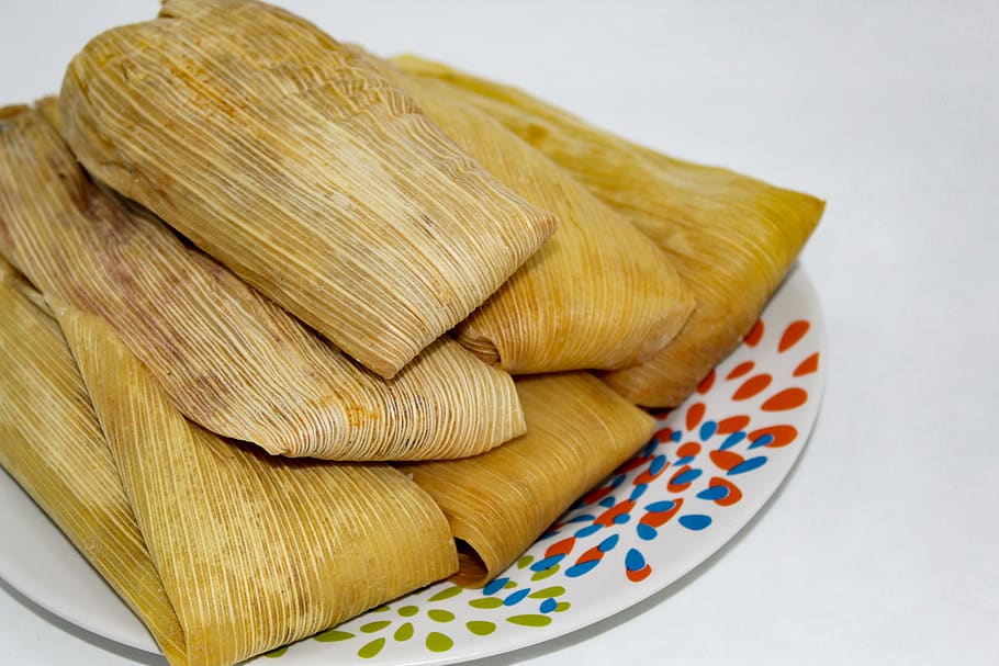 tamale, mexican food, mexico, kitchen, studio shot, indoors, white background, close-up, still life, pattern