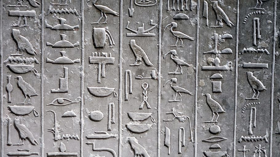 hieroglyphics illustration, hieroglyph, glyphs, tomb, saqqarah, bas relief, saqqara, memphis, egypt, necropolis