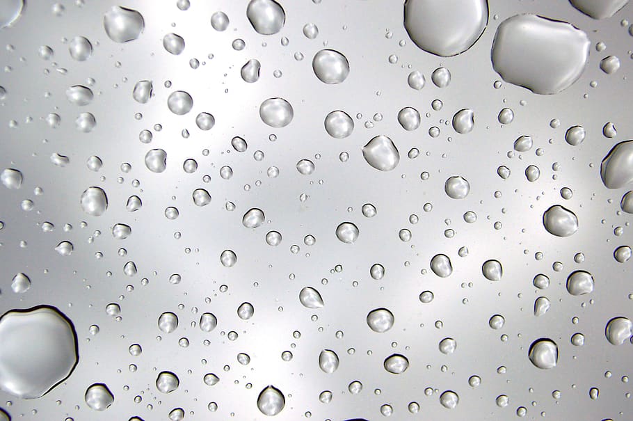water droplets, light, nature, rain, macro, wet, fresh, clean, liquid, drops