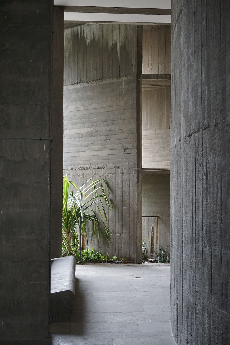 le corbusier, ahmedabad, modernism, concrete, india, architecture, modern, built structure, day, plant