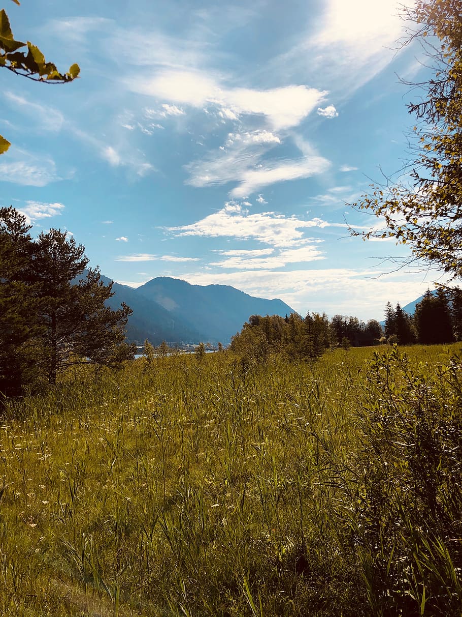 mountains, meadow, nature, landscape, alpine, switzerland, panorama, hiking, mood, reported