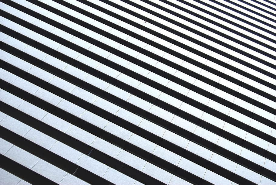 blanco, negro, textil de rayas, rayas blancas y negras, rayas de cebra, rayas, geométrico, blanco y negro, patrón, diagonales