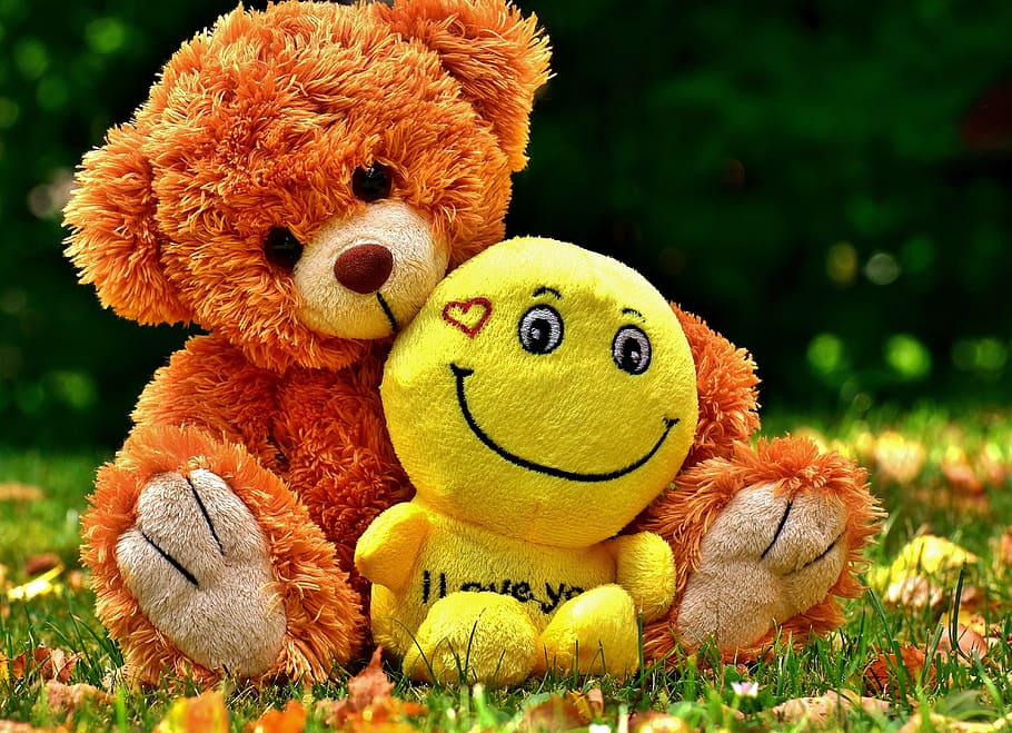 two, plush, toys, grass field, teddy, cute, smiley, love, soft toy, teddy bear