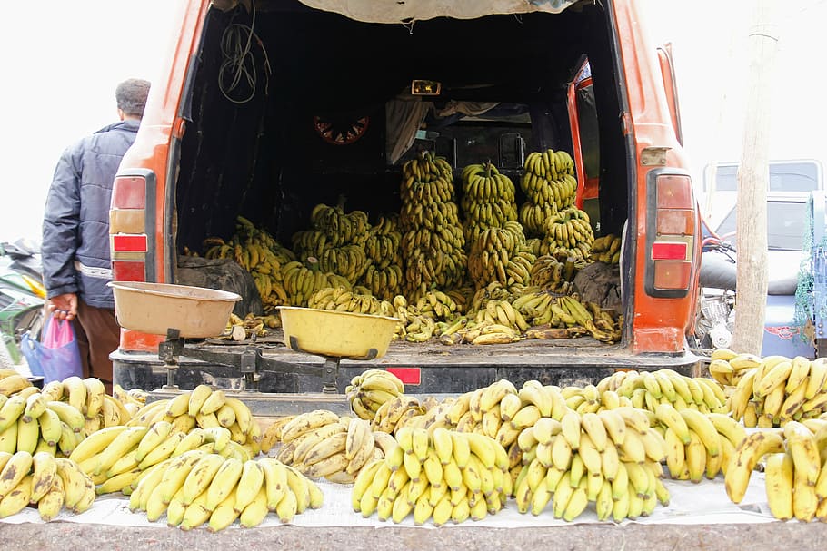 bananas, market, market stall, buy, fruit, healthy, vitamins, nutrition, food, fruit stand