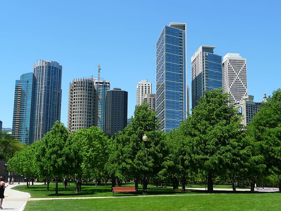 green, leaf trees, high-rise, buildings, clear, blue, bright, sky, green leaf, trees