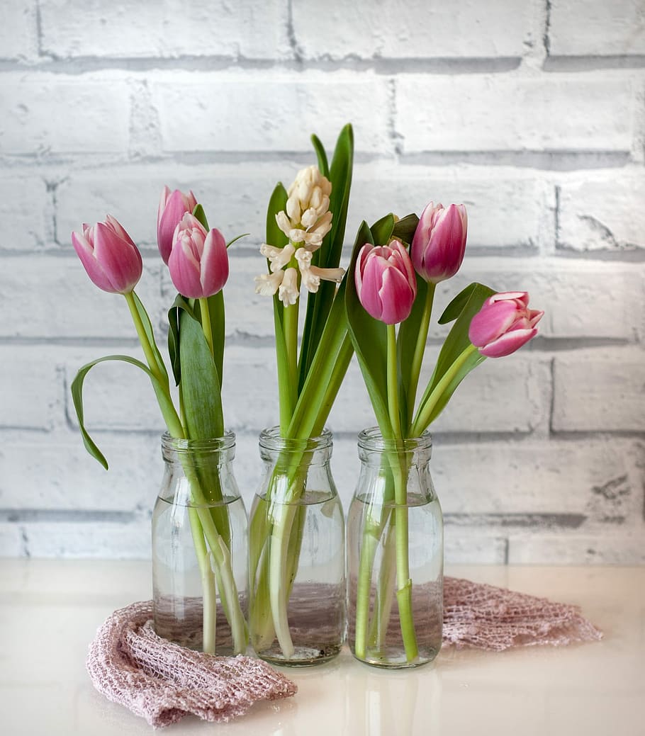 pink, tulips, glass vase, beige, surface, tulip, vase, flower, easter, bouquet
