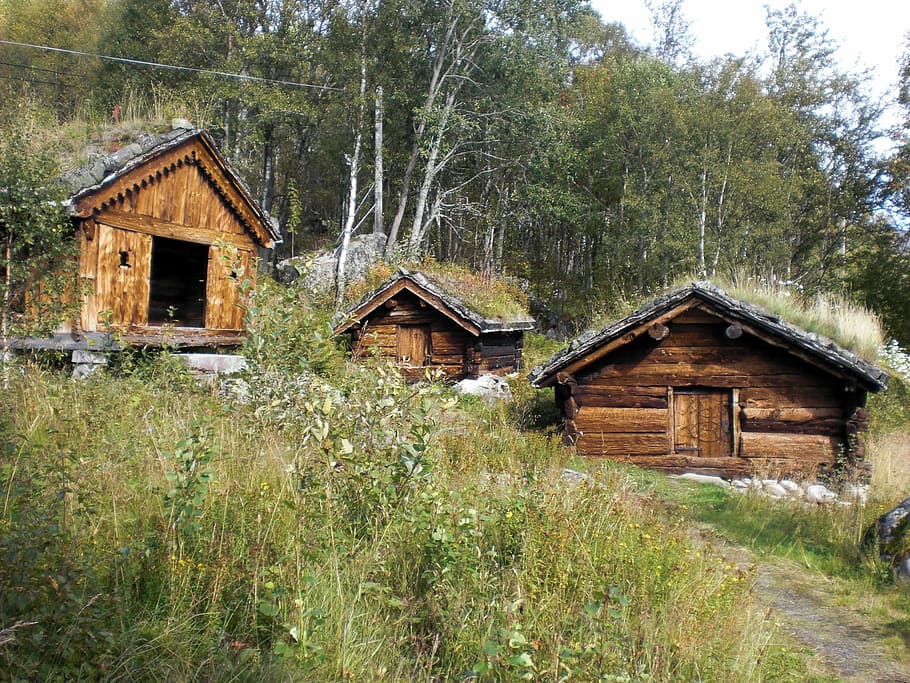 three, brown, wooden, cabins, trees, norway, nature, scandinavia, vacation, log cabin