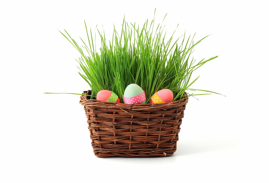 easter eggs, brown, wicker basket, basket, celebration, decoration, easter, egg, eggs, grass