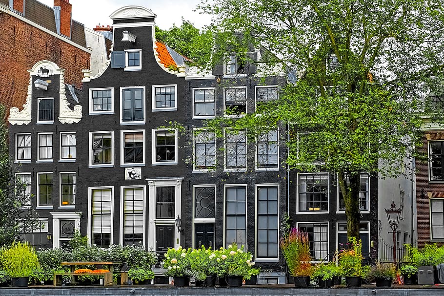 home, house, facade, brick, painted brick, dark, architecture, plant, flower, amsterdam