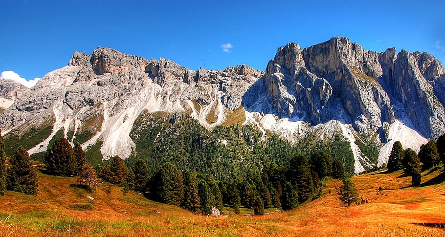 landscape photography, trees, mountain, Dolomites, Monte, Stevia, Mountains, Alm, monte stevia, nature