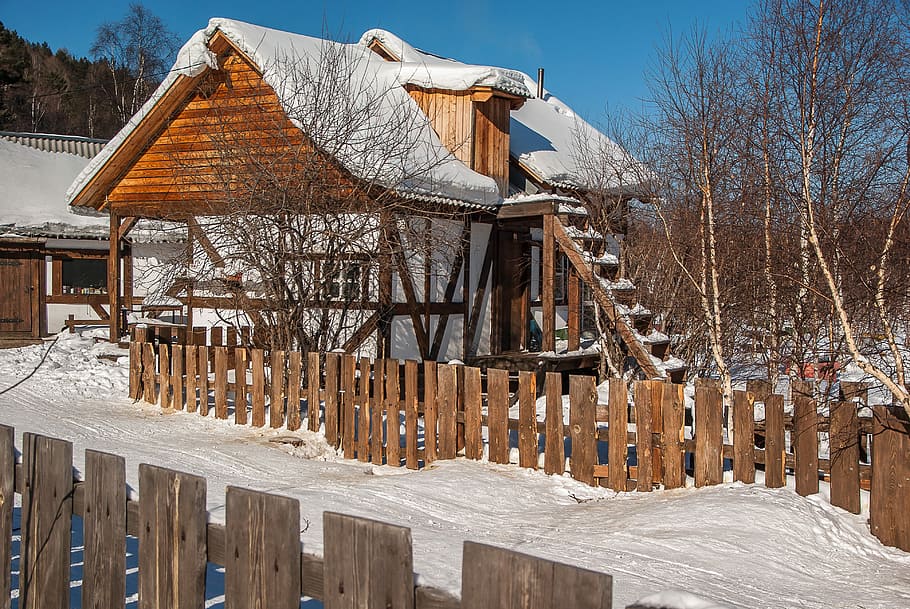 house, surrounded, snow, tree, irkutsk, lake baikal, chalet, wooden house, wood - material, architecture