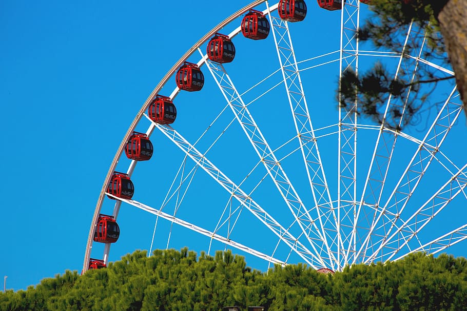 ferris wheel, theme park, attraction, fun, amusement park ride, sky, amusement park, arts culture and entertainment, plant, tree