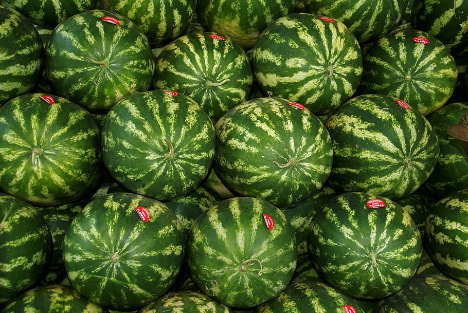 watermelons, fruit, fresh, summer, green color, full frame, healthy eating, freshness, food and drink, food