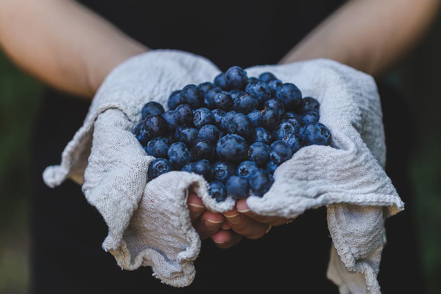 blueberries, hands, handpicked, handmade, food, edible, farm, healthy, snack, nutrition