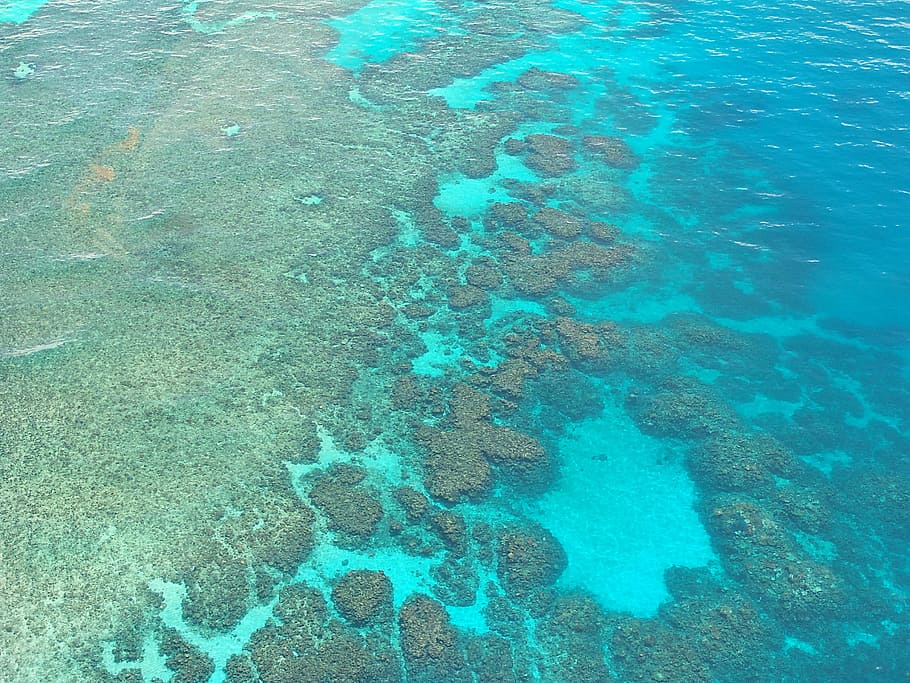 grand, karang, terumbu, australia, terumbu karang penghalang, penyelaman, samudra, pasifik, pemandangan udara, air