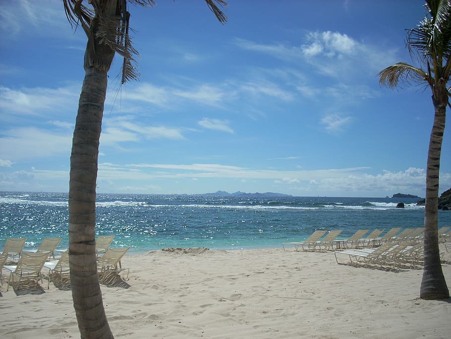 tumbonas frente al mar, st maarten, palmeras, océano, tumbonas, vacaciones, arena, salones, Playa, agua