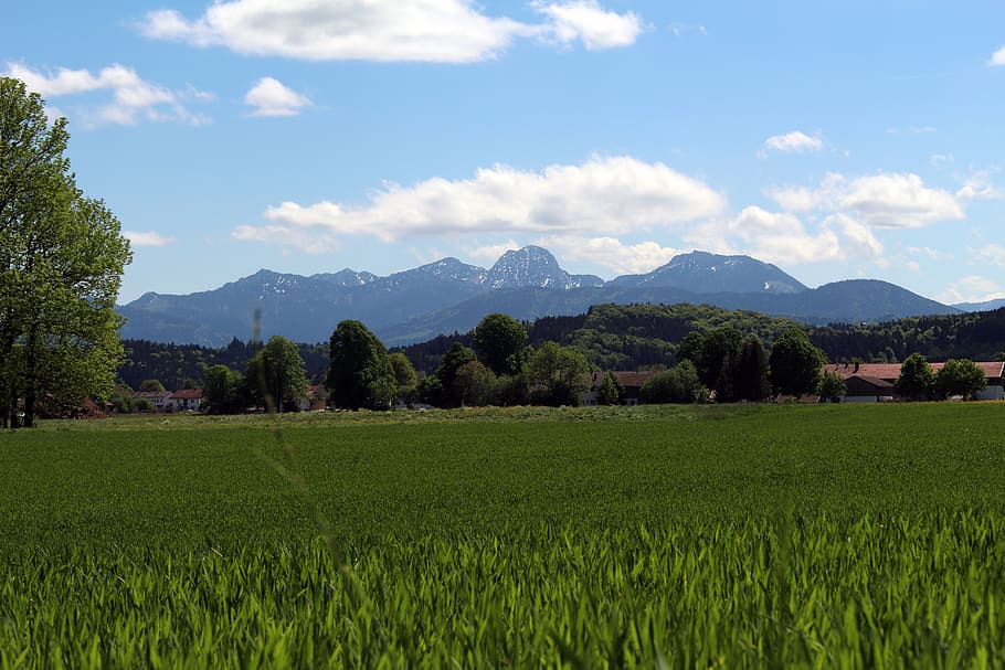 Горное хозяйство. Nature Panorama field.