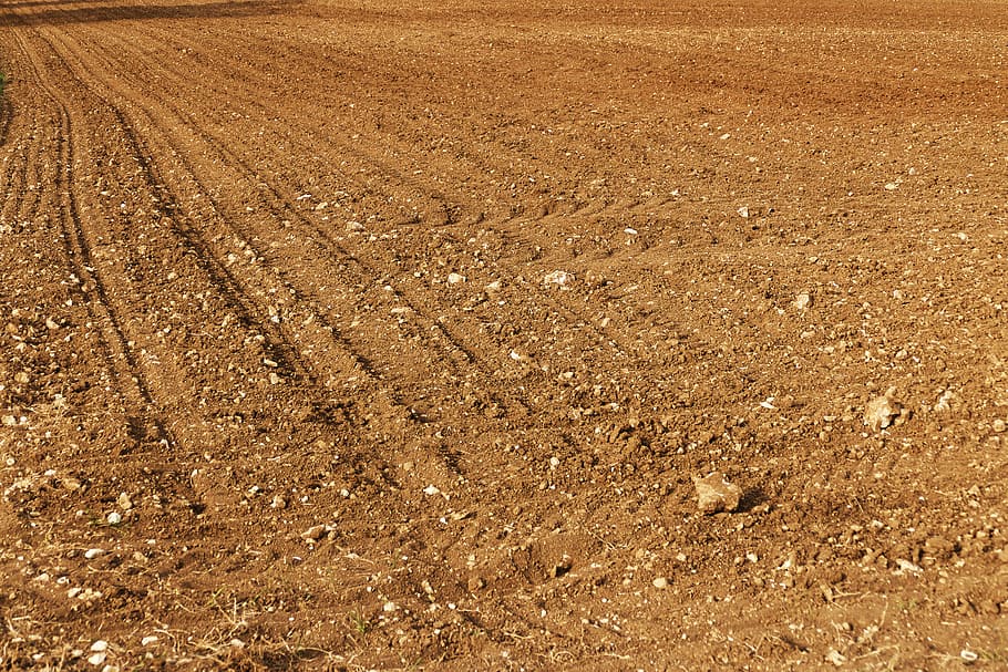 brown field view, field, arable, steinig, agriculture, dry, lines, earth, field order, ordered