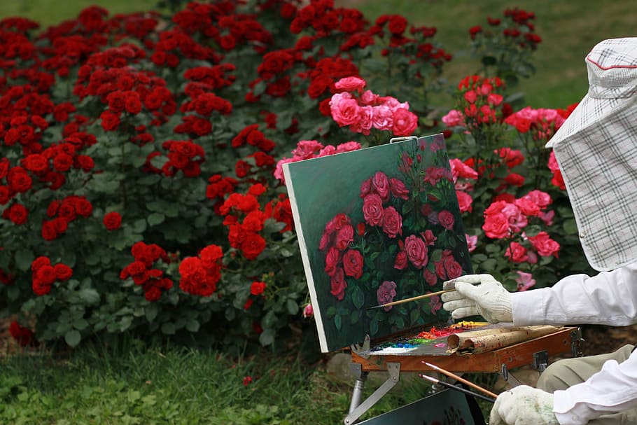 rosa, rojo, pintura de rosas, flores, rosa roja, jardín de rosas, naturaleza, tabitha, romántico, amor