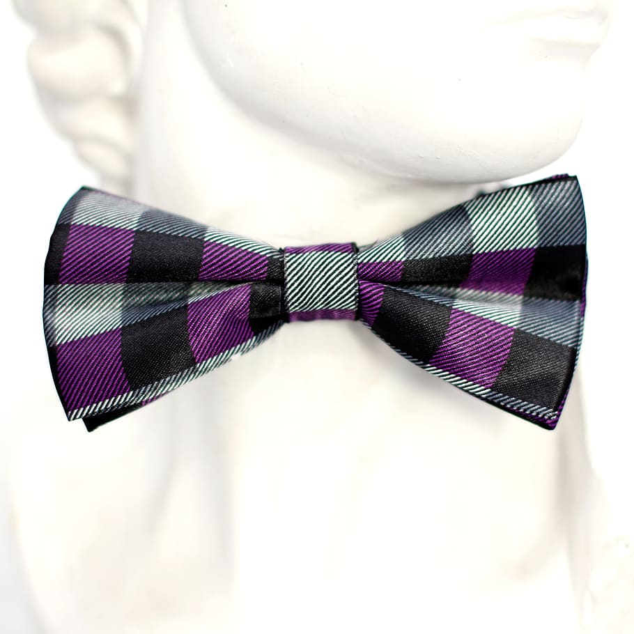 Purple, Checkered, Fly, Tie, Loop, black, fashion, man, profile, display dummy