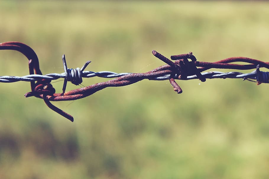 selective, focus photography, black, gray, barbwire, barbed wire, fence, metal, wire, thorn