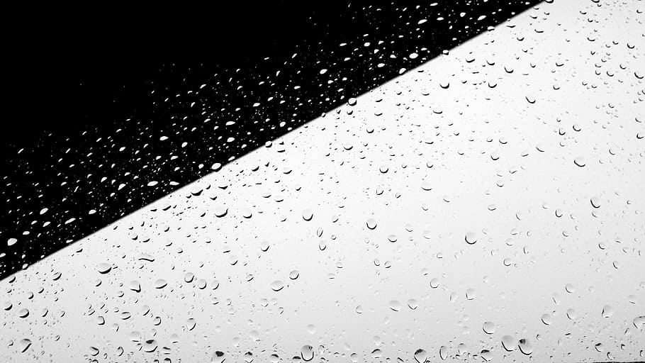 黒, 白, 最小限, ミニマリスト, ミニマル, 雨, 雨滴, しずく, 水, 黒色