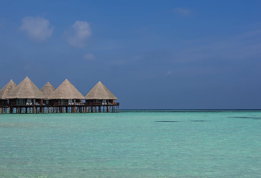 cottages, body, water, maldives, ari atoll, sea, bungalow, paradise, beach, summer