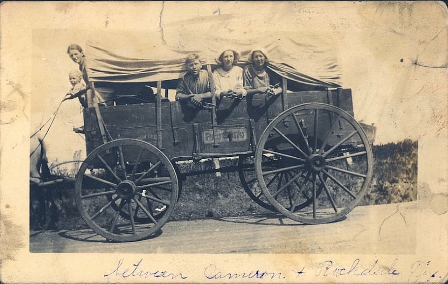 group, people, riding, carriage photograph, vintage, covered wagon, family, migrate, ancestors, travel