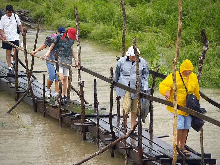 Tourists, Amazonas River, Walkway, Wet, rainy, weather, brazil, full length, large group of people, people