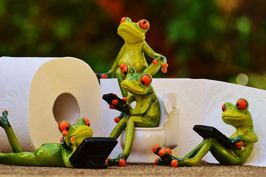 four, frog, ceramic, figurines, toilet, loo, session, funny, toilet paper, wc