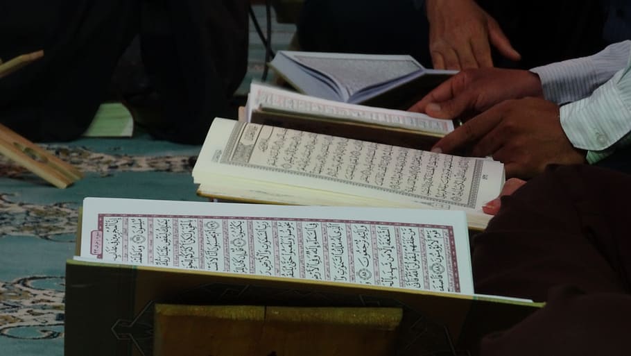 person holding book, qoran, quran, book, islam book, holy, allah, mosque, muslim, ramazan