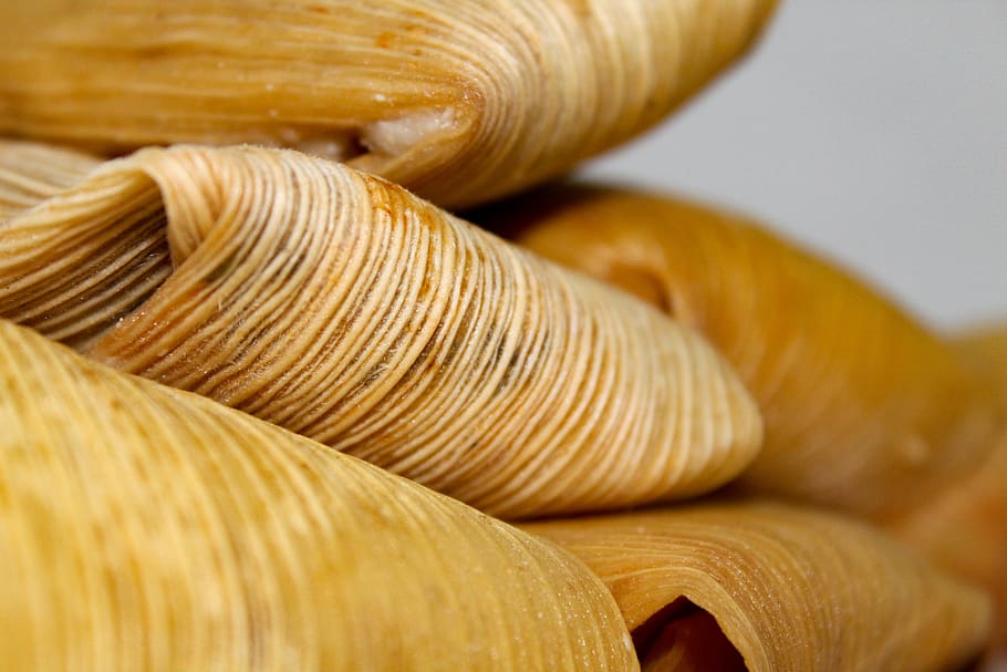 tamale, mexican food, mexico, kitchen, close-up, thread, indoors, full frame, selective focus, studio shot