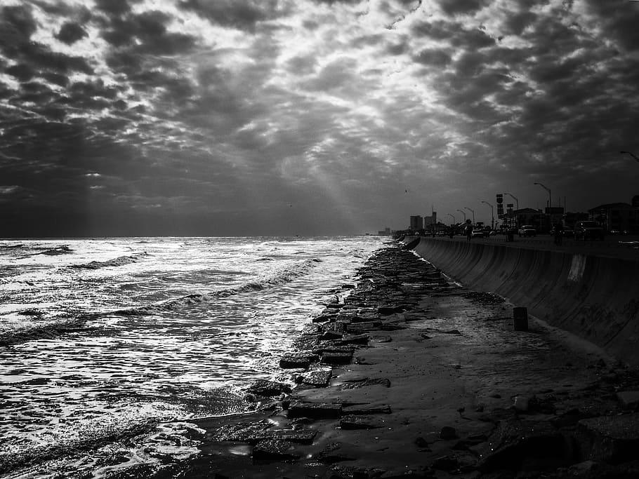 grayscale photo, seashore, gulf of mexico, sea, ocean, water, shoreline, shore, beach, black and white