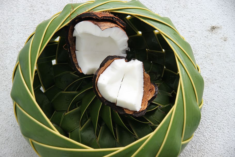 cracked coconut, St Lucia, Coconut, Basket, green color, food and drink, close-up, food, healthy eating, leaf