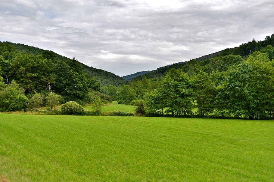 landscape, nature, forest, clouds, tree, trees, green, pasture, hill, luxembourg