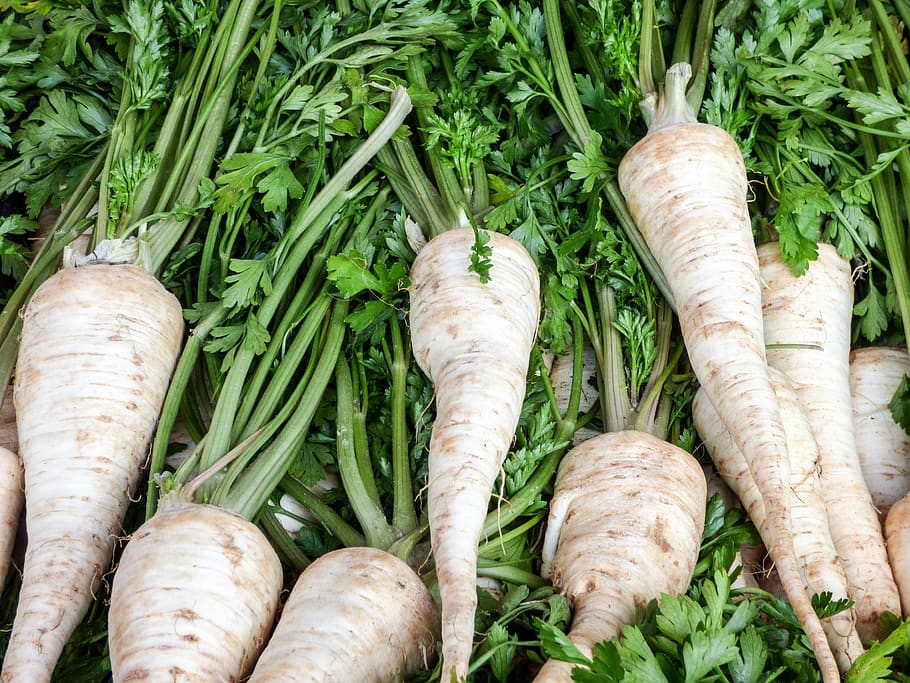 vegetables, turnip, market, food, plant, november, autumn, food and drink, freshness, vegetable