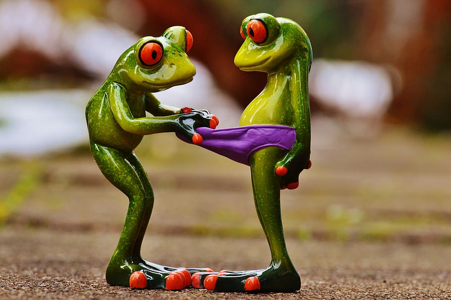 two, red-eyed tree frogs, frogs, curious, funny, figures, cute, underpants, look, fun