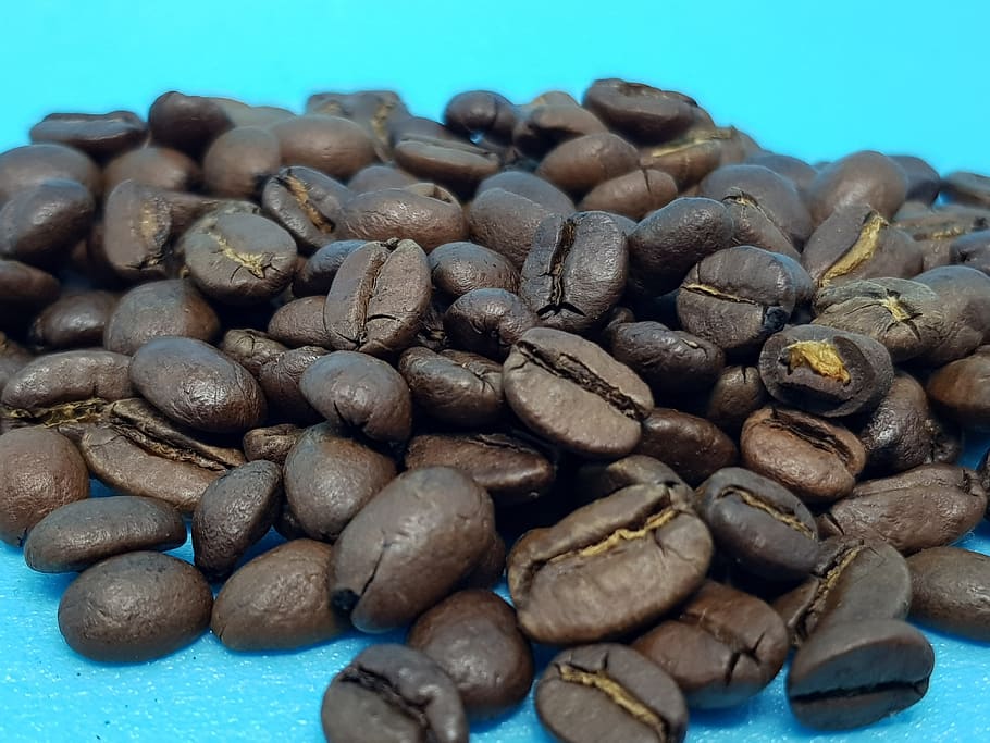 coffee, grain, product, brown, ready, production, food, healthy, arabica, variety