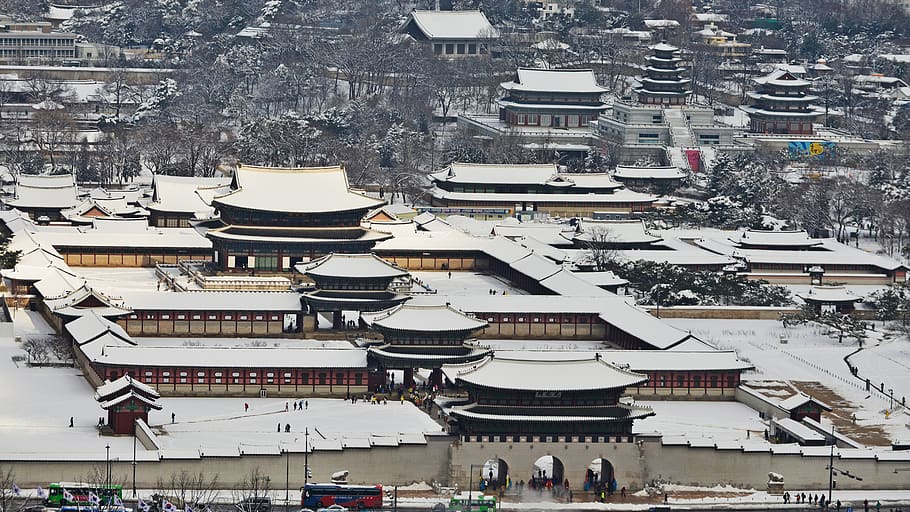 palacio de gyeongbok, ciudad prohibida, república de corea, tradicional, corea, seúl, cultura de corea, teja, coreano, propiedad cultural