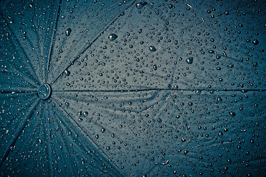 blue, umbrella, covered, water dews, rain, screen, raindrop, wet, weather, rainy weather