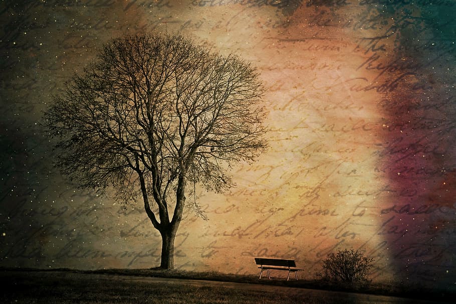 wither, tree painting, bench, texture, background, tree, bare tree, font, handwriting, grunge