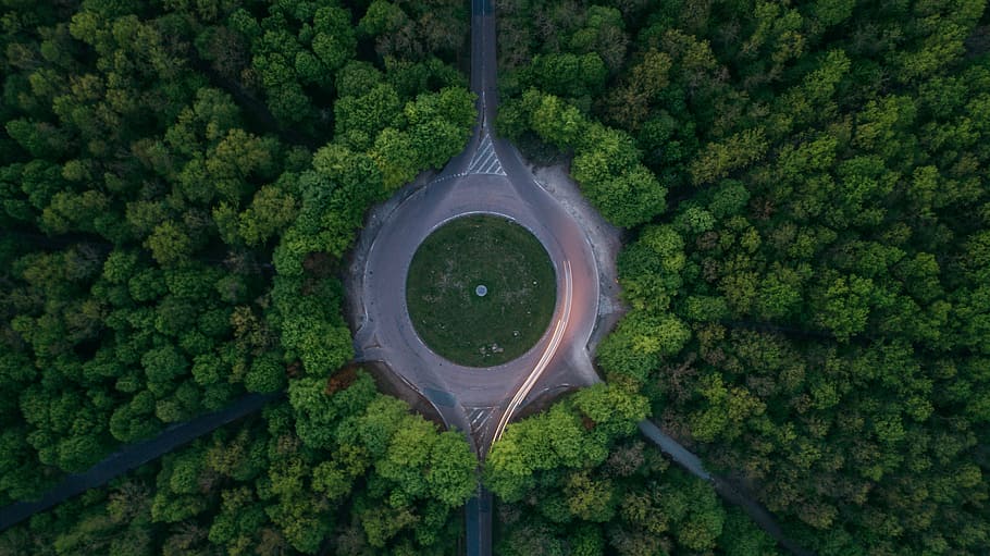 aerial, photography, round road, surrounded, trees, daytime, green, plant, nature, forest