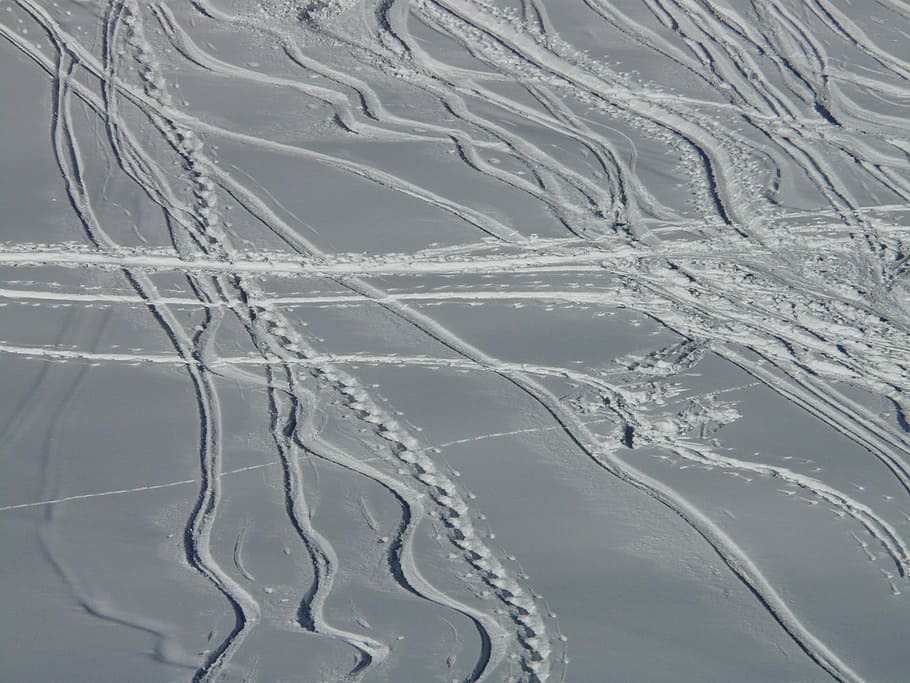 Esquí, Partida, Wag, Traza, Curvas, nieve en polvo, invernal, nieve profunda, nieve, resumen
