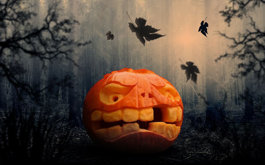 jack-o-lantern, black, gray, background, halloween, pumpkin, pumpkins autumn, gourd, autumn, orange