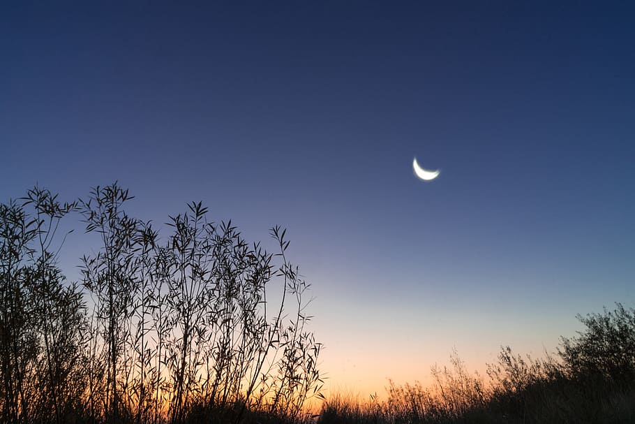 morning, moon, sunrise, natural spectacle, romantic, crescent moon, start of the day, mystical, sky, silent