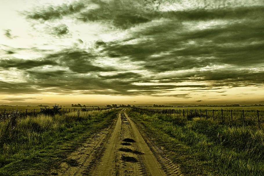 mud pathway, surrounded, green, grass, cloudy, sky, sunset, field, rural, rural road