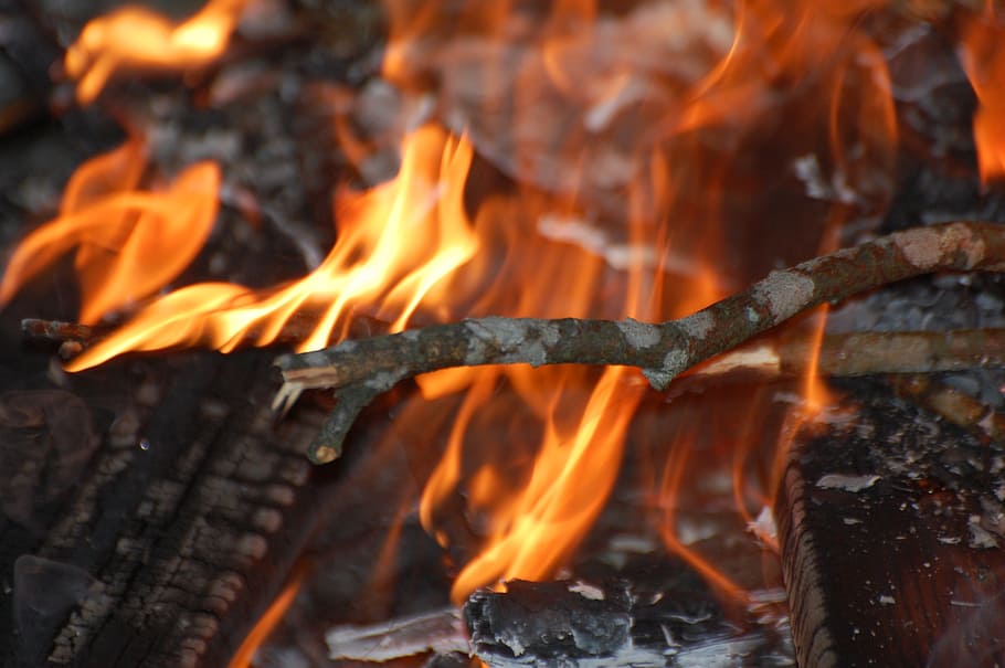 campfire, flames, fireplace, light a bonfire, heat, summer, fire, burning, fire - natural phenomenon, flame